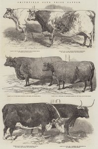 Smithfield Club Prijsvee